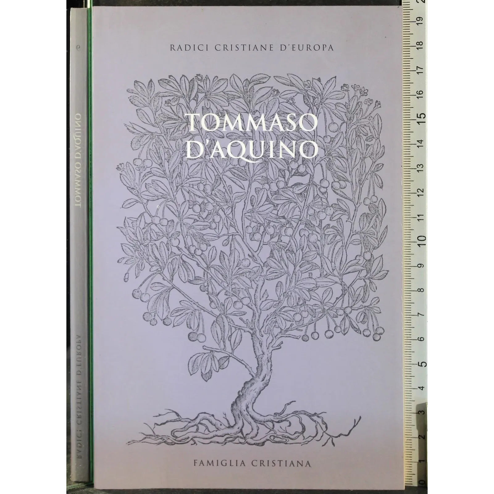 Tommaso d'acquino
