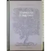 Tommaso d'acquino