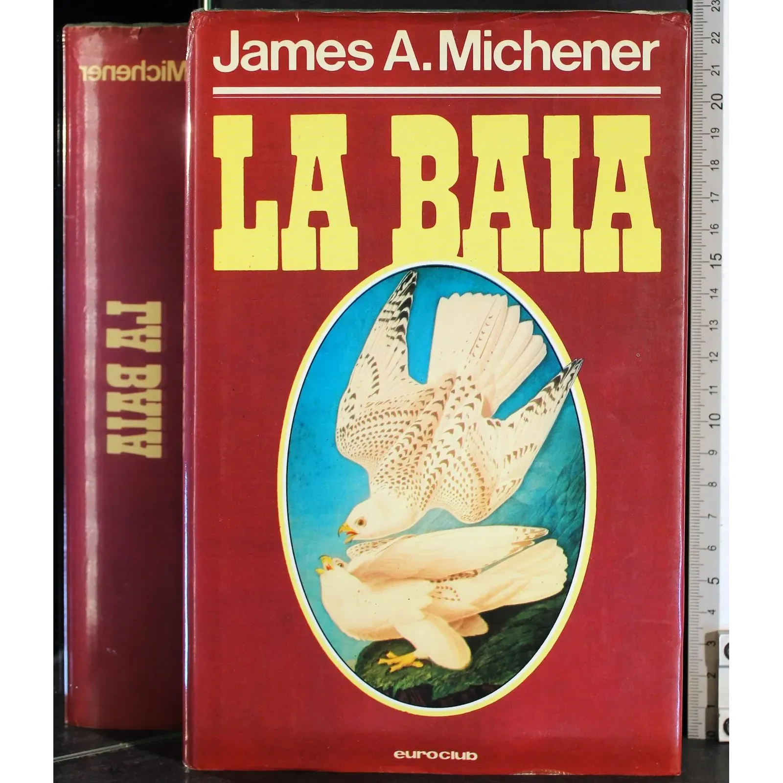 La baia