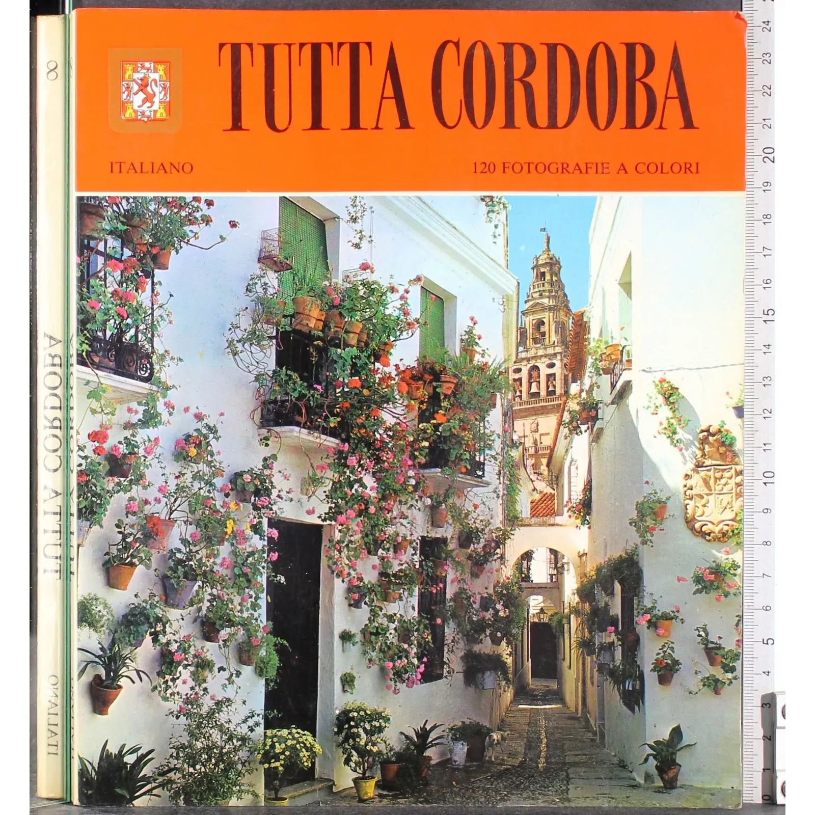 Tutta Cordoba