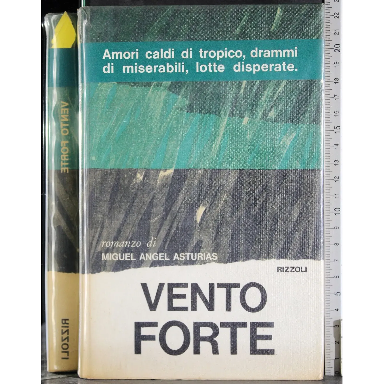 Vento forte