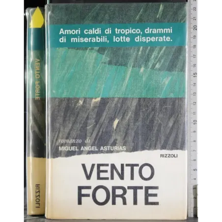 Vento forte