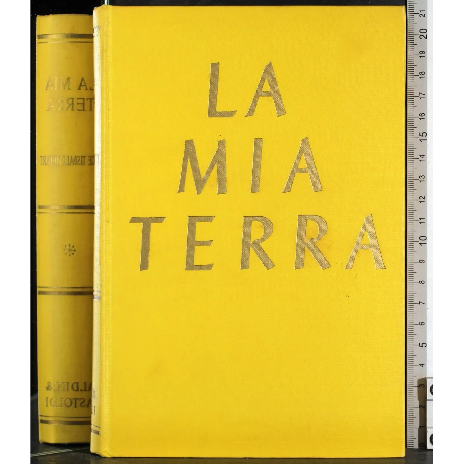 La mia terra