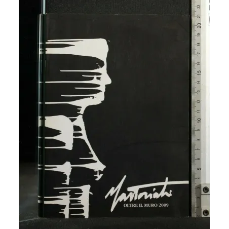 OLTRE IL MURO 2009