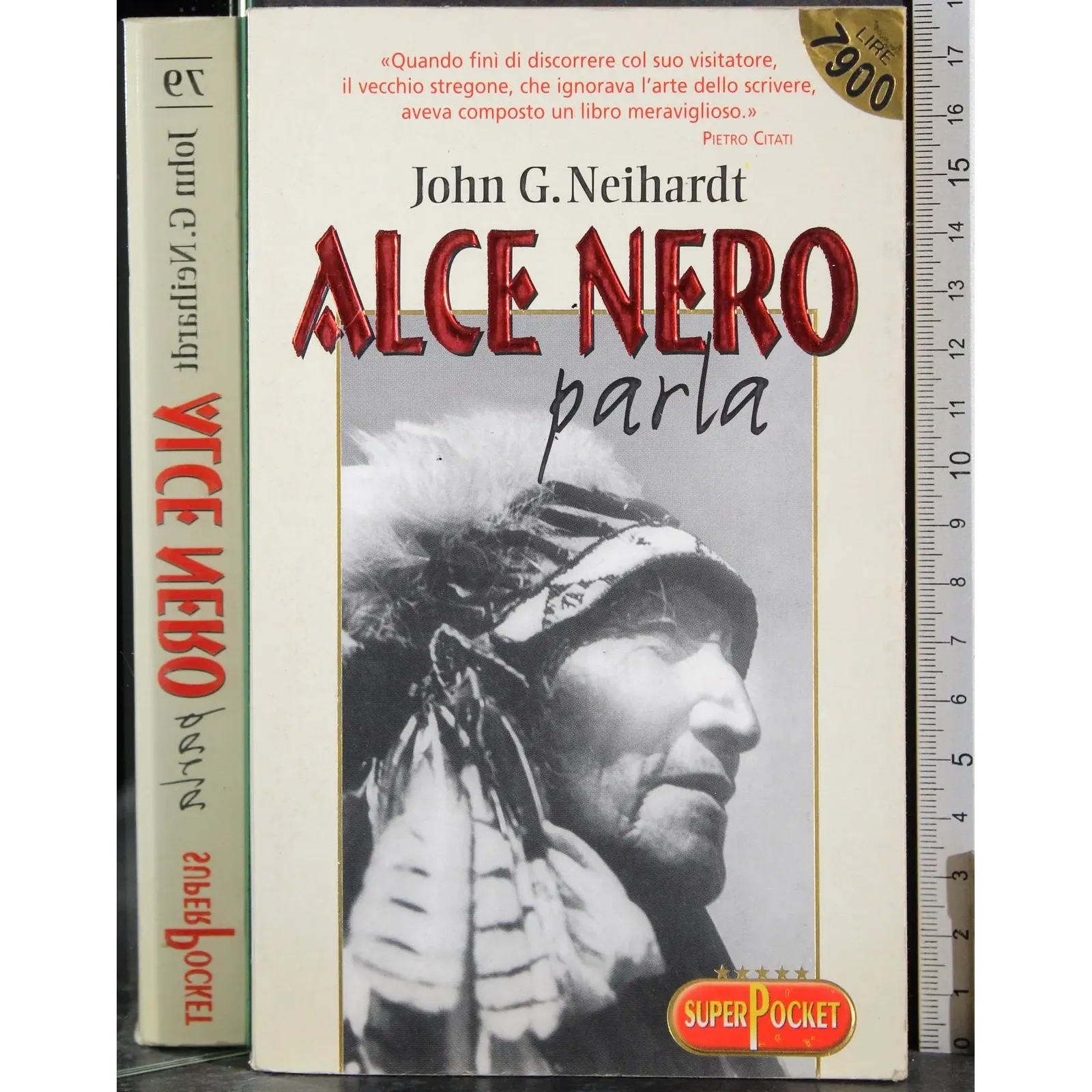 Alce nero parla