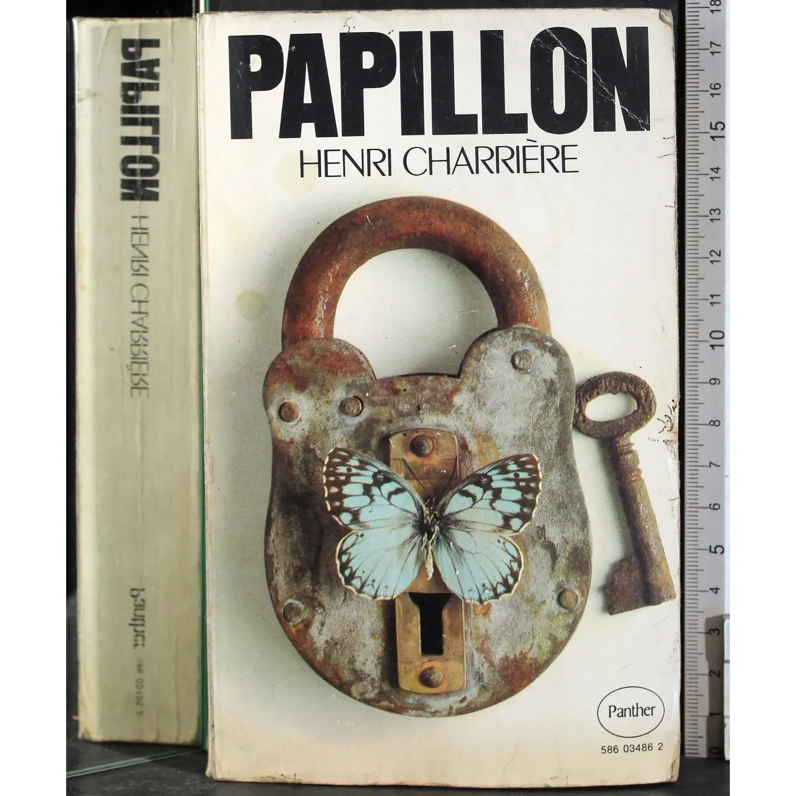 Papillon