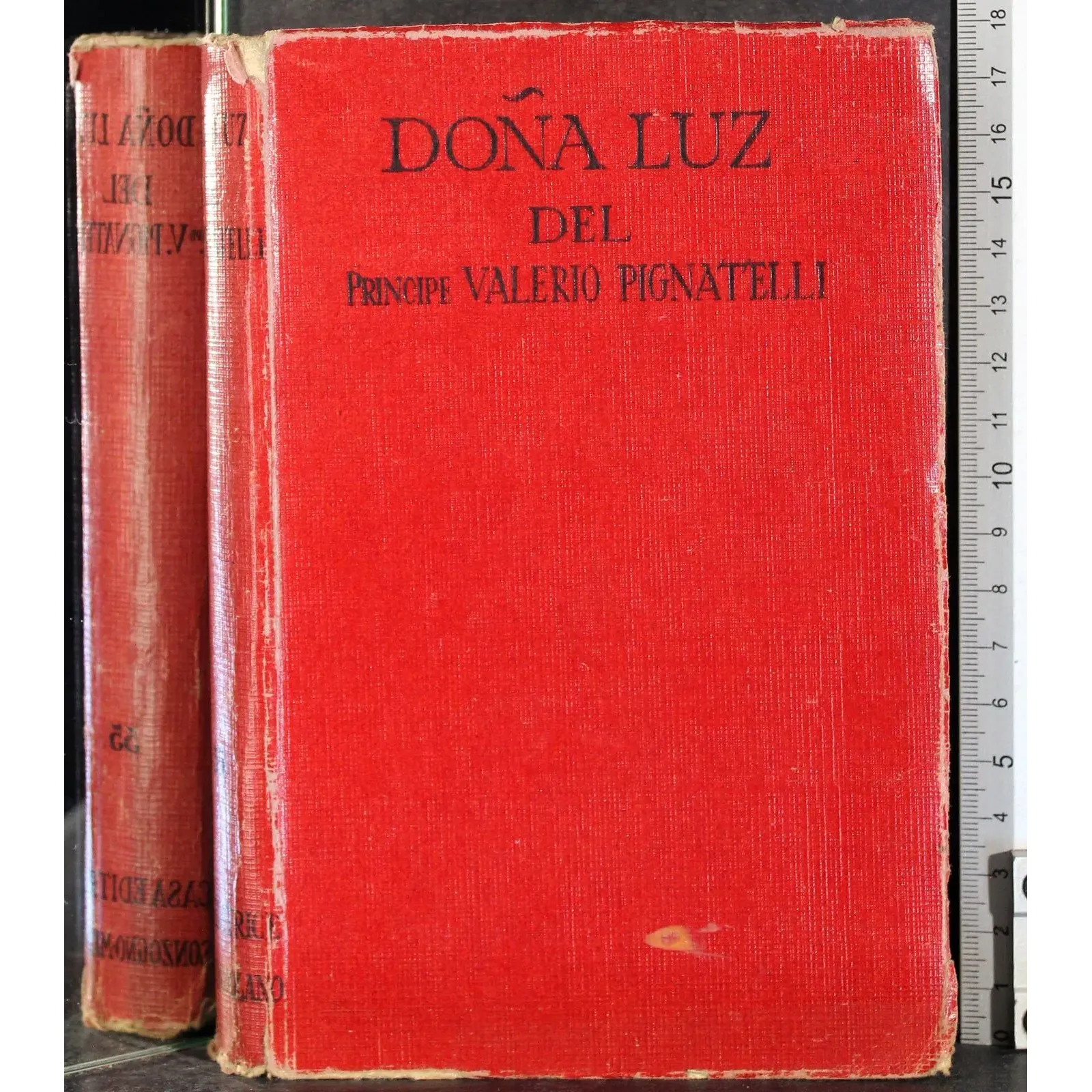 Dona Luz