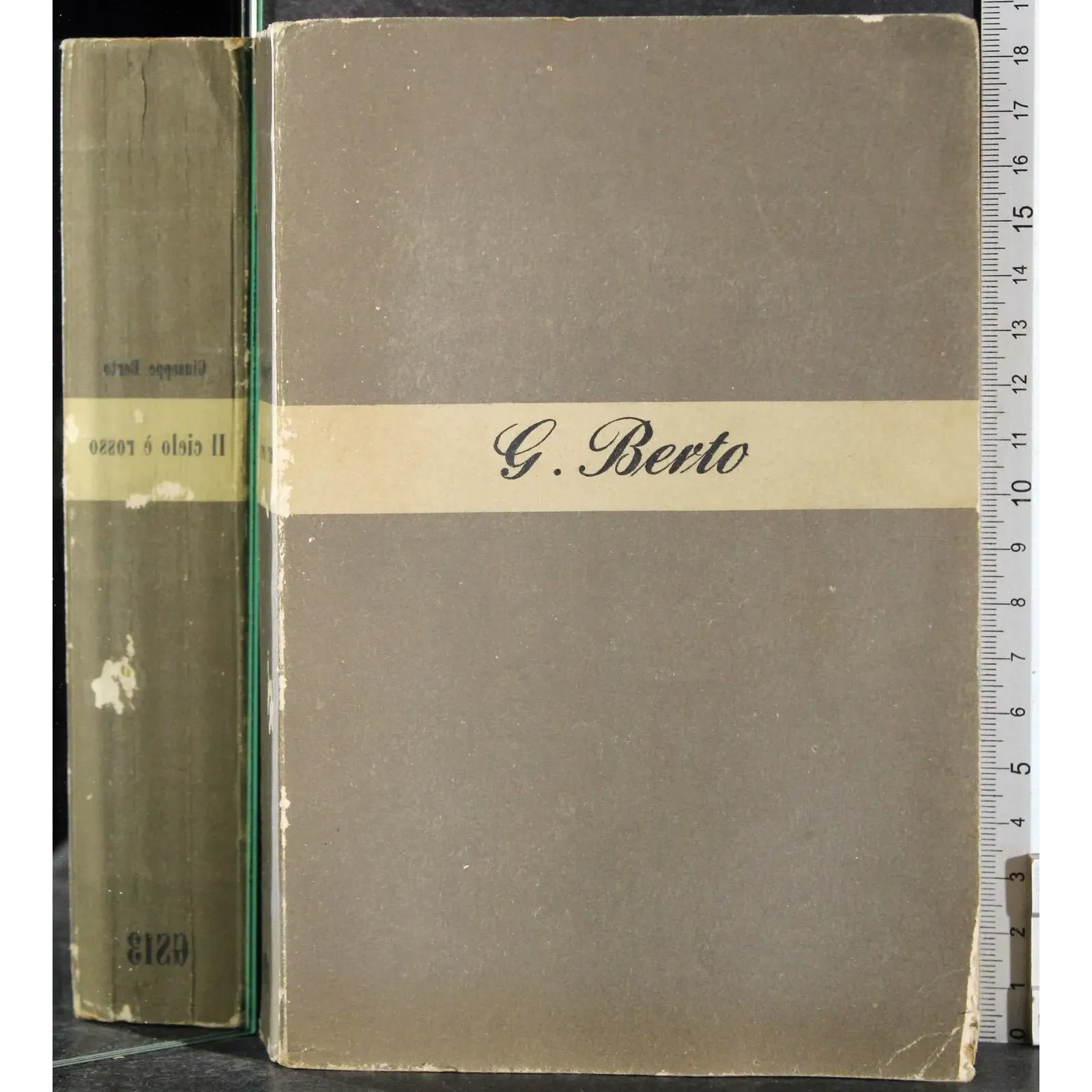 Il bacio della violenza
