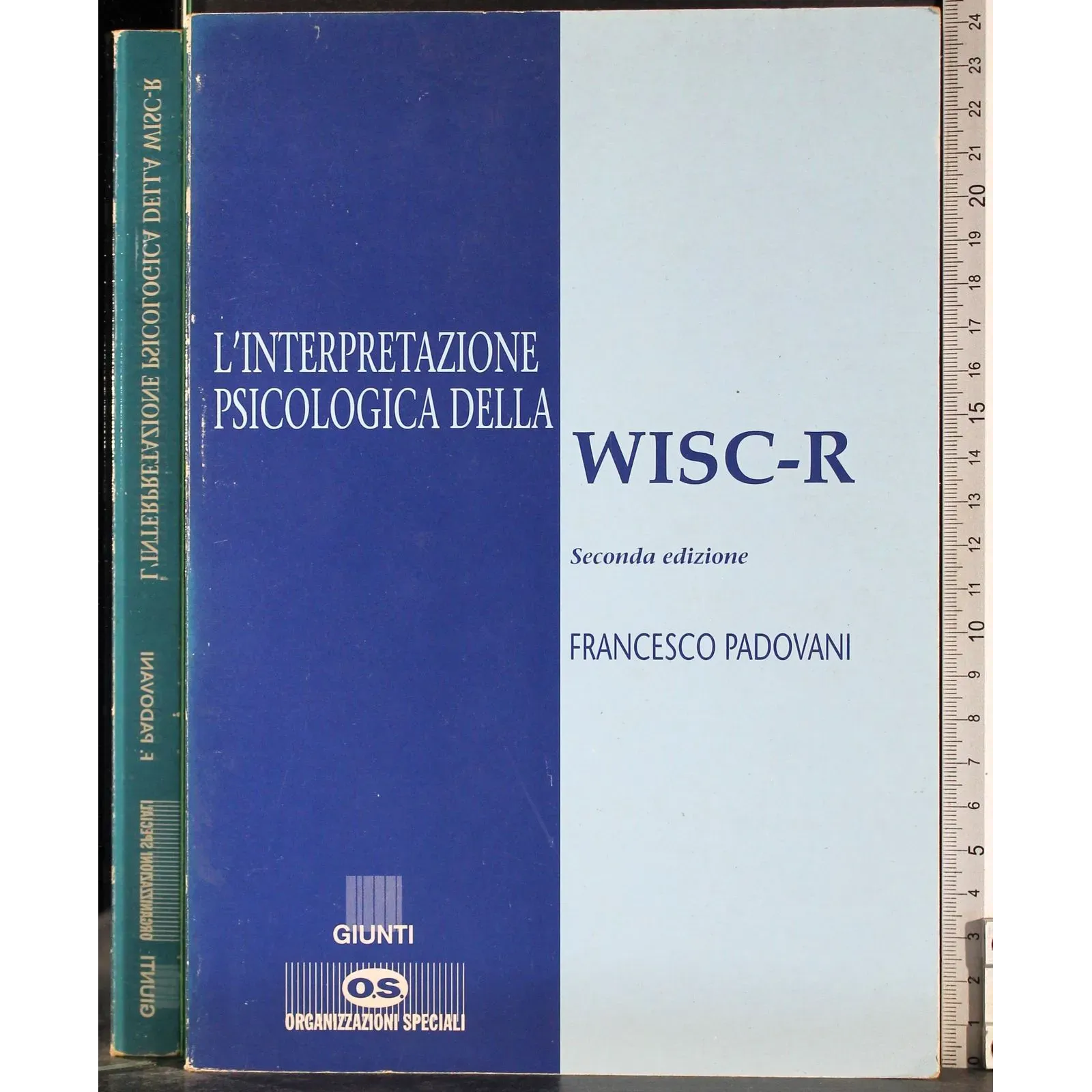 L'interpretazione psicologica della WISC-R