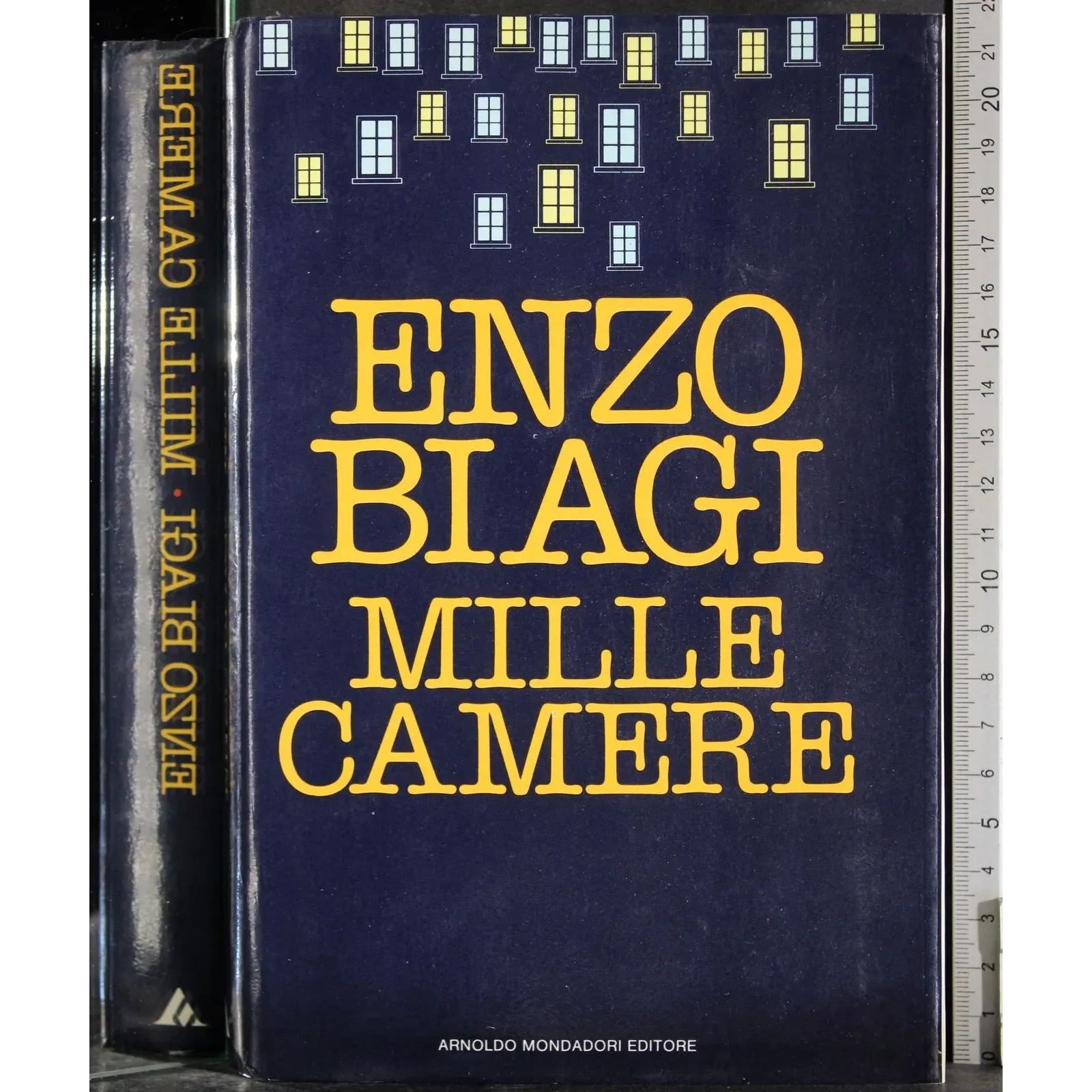 Mille camere