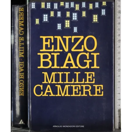 Mille camere