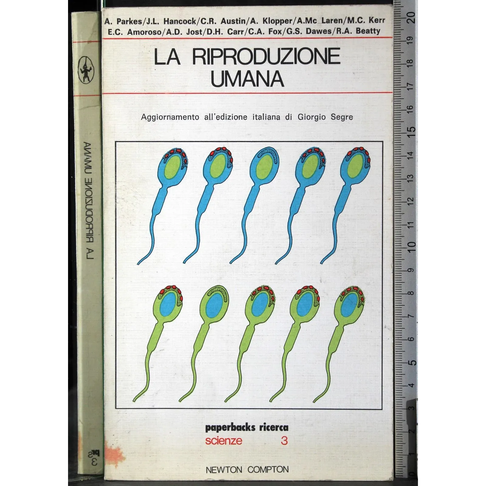 La riproduzione umana