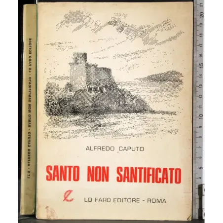 Santo non santificato