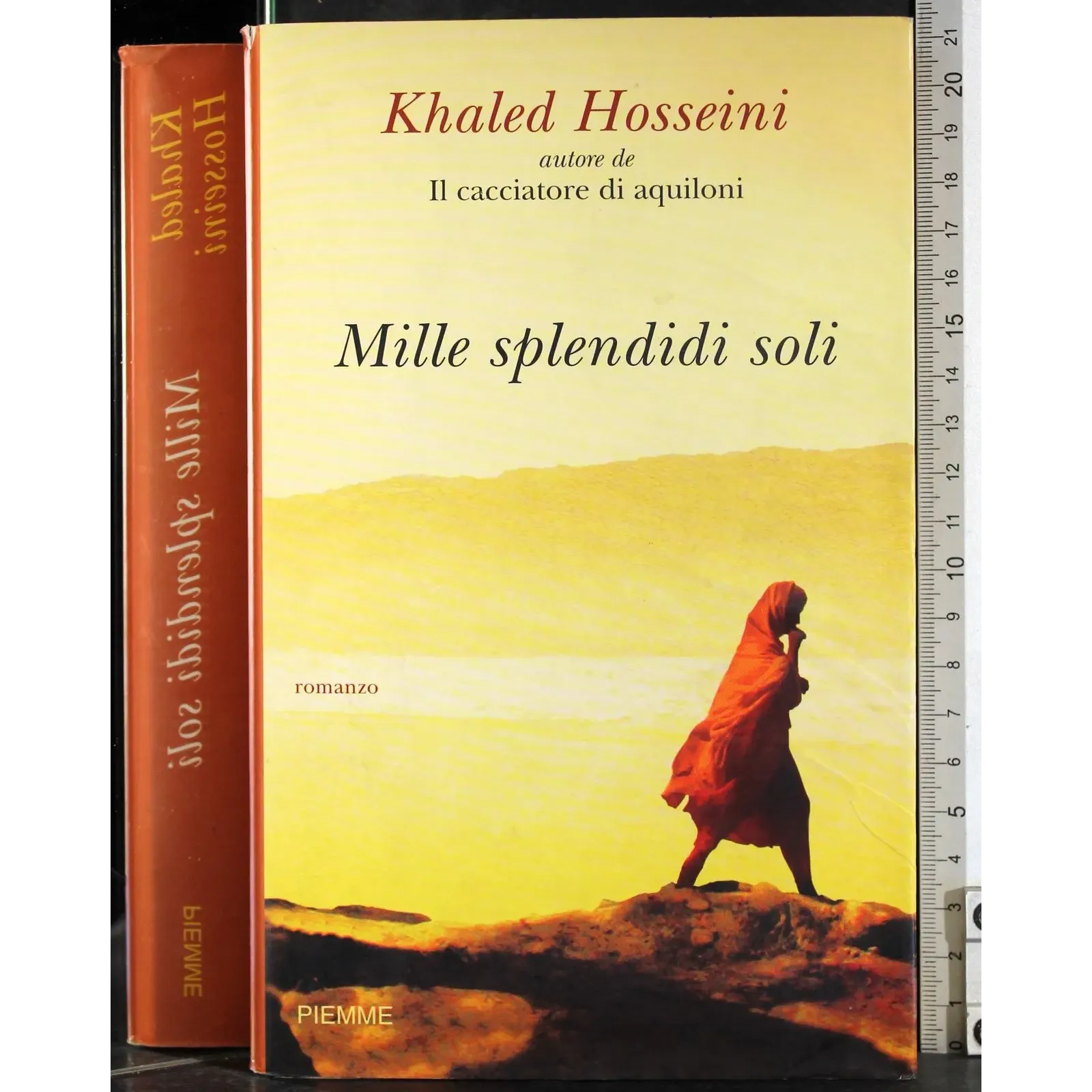 Mille spenditi soli