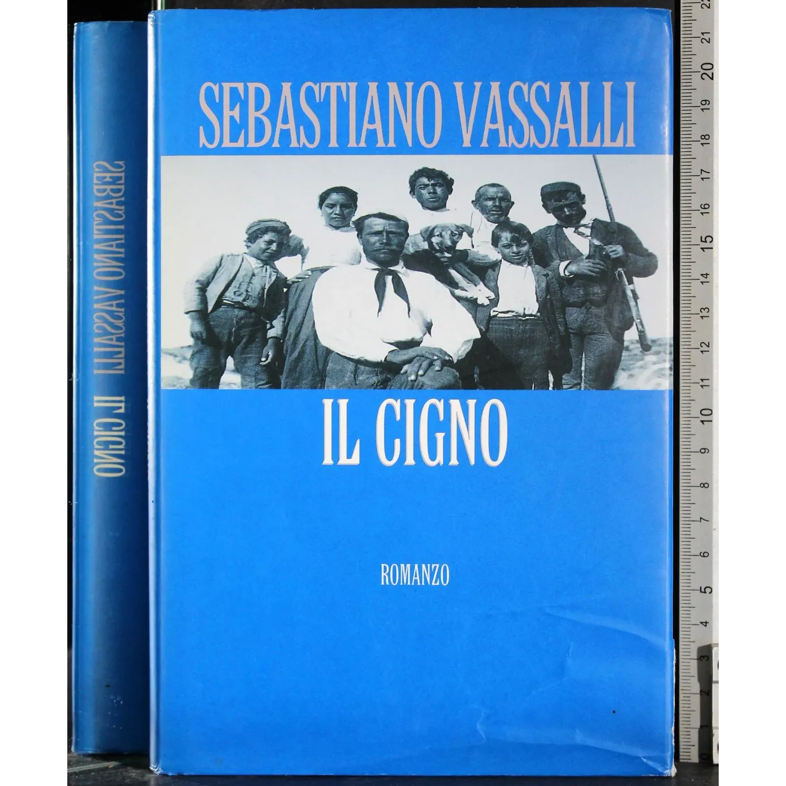 Il cigno