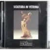 Scultura in vetrina