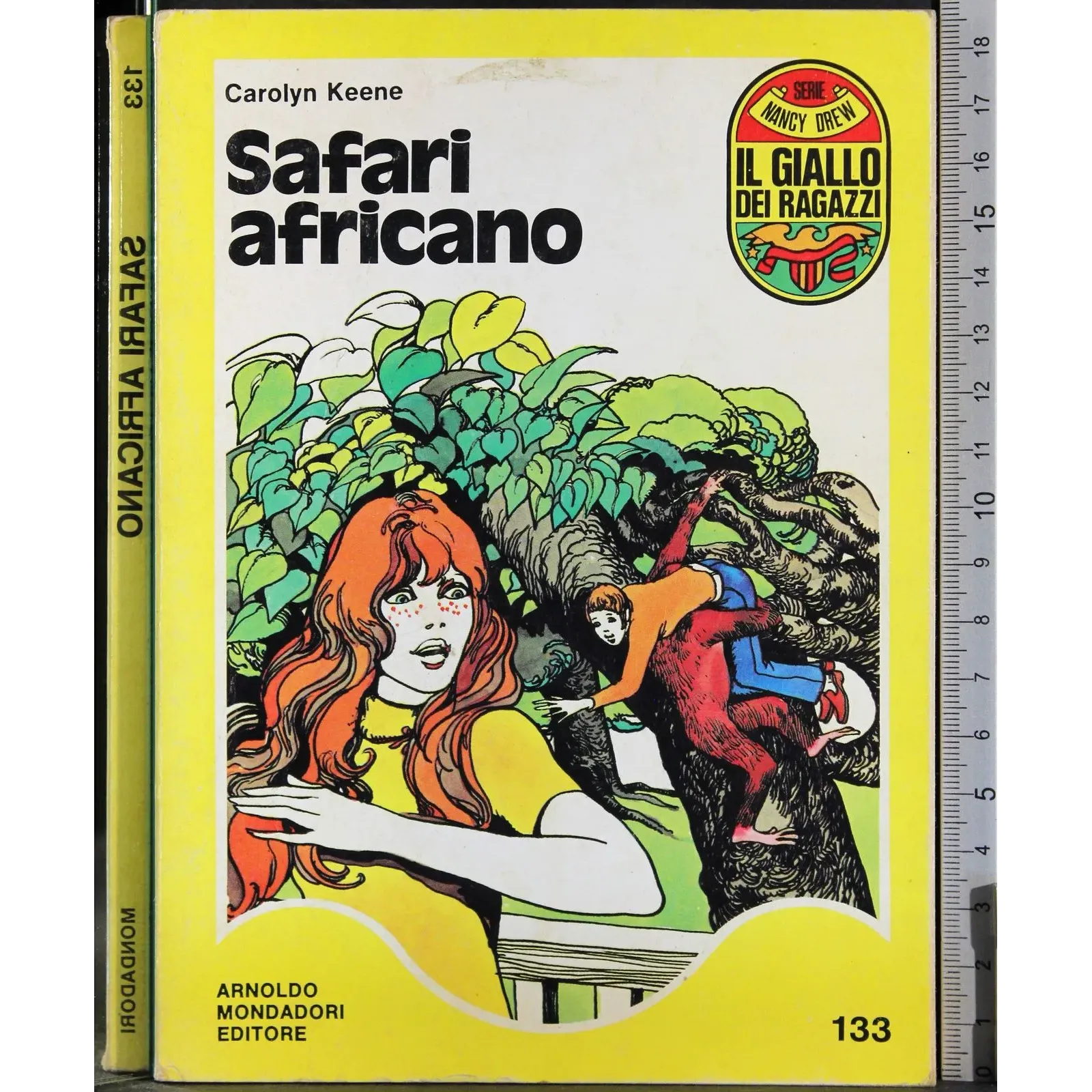 Safari africano