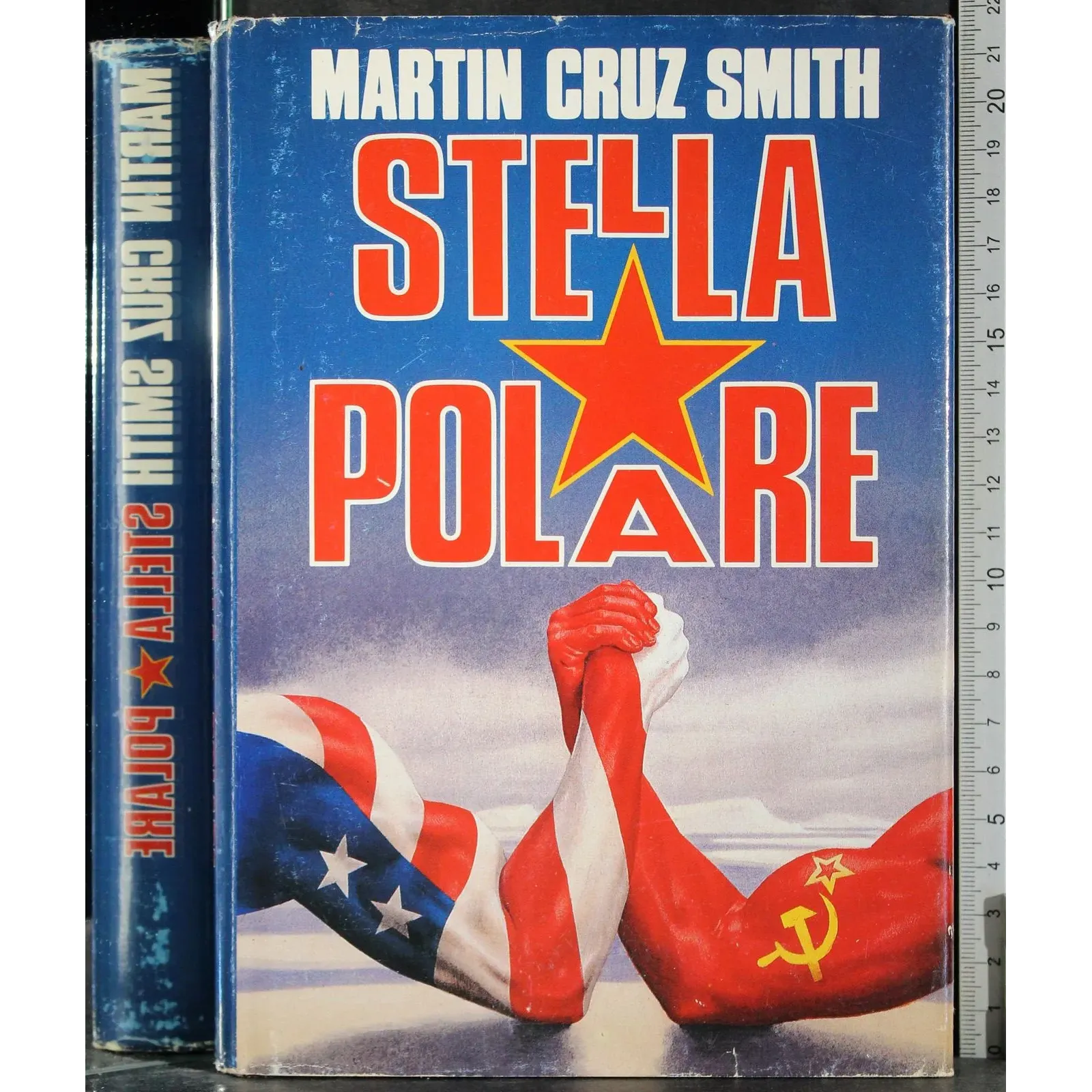 Stella polare