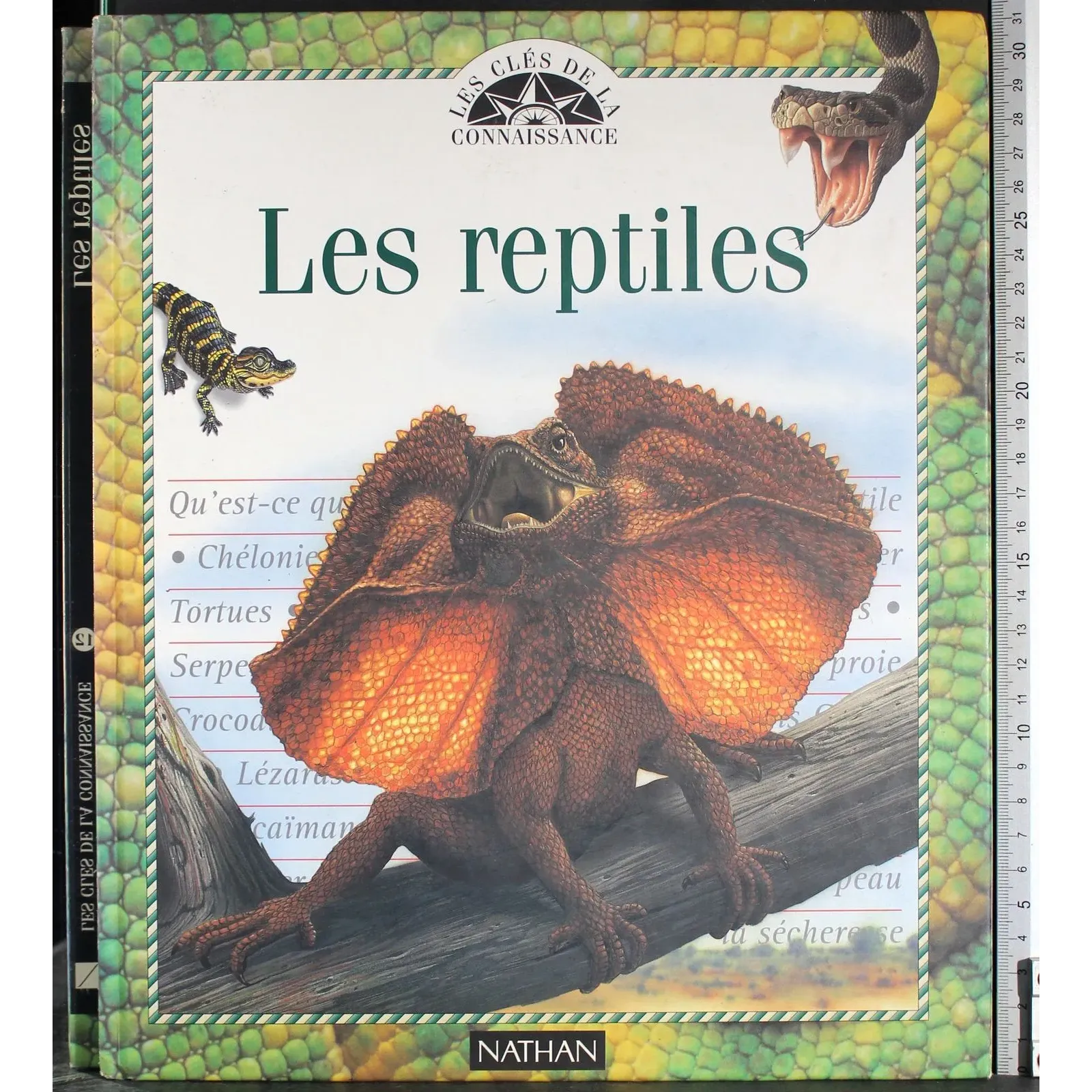 Les reptiles
