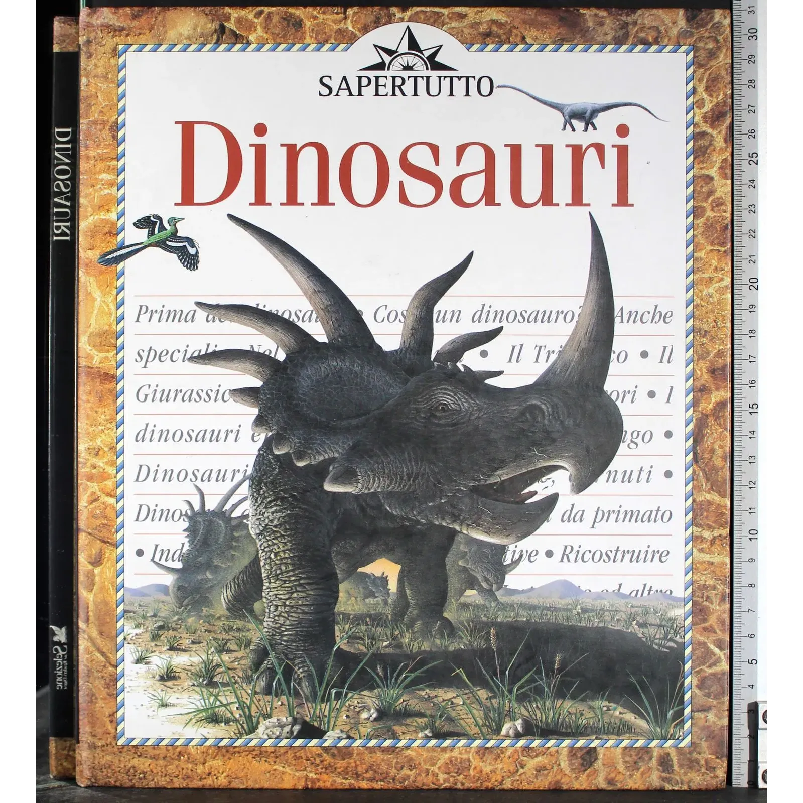 Dinosauri