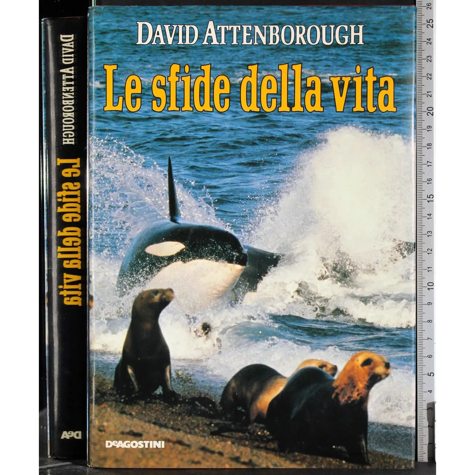 Le sfide della vita