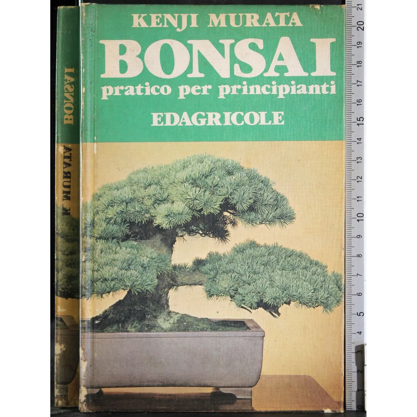 Bonsai pratico per principainti