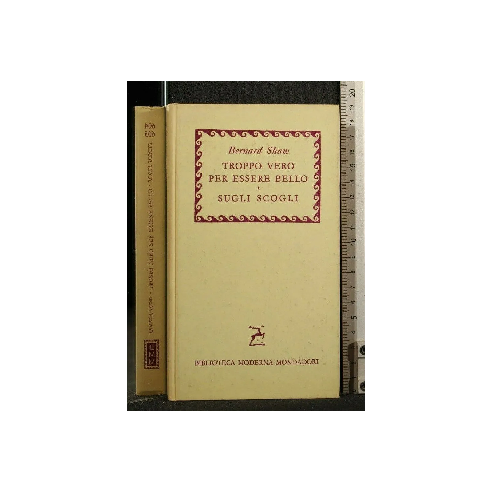 TROPPO VERO PER ESSERE BELLO SUGLI SCOGLI