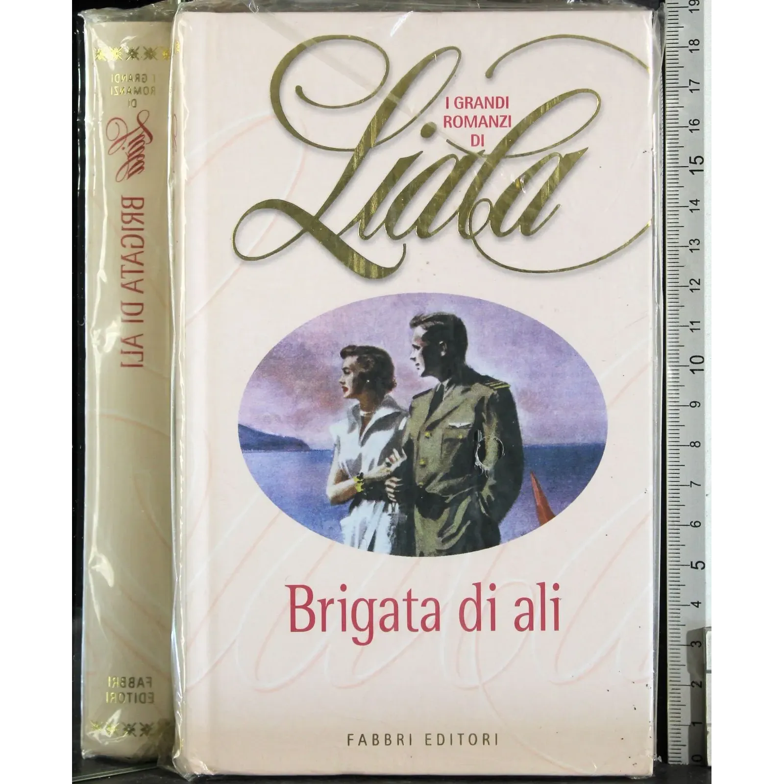 Brigata di ali