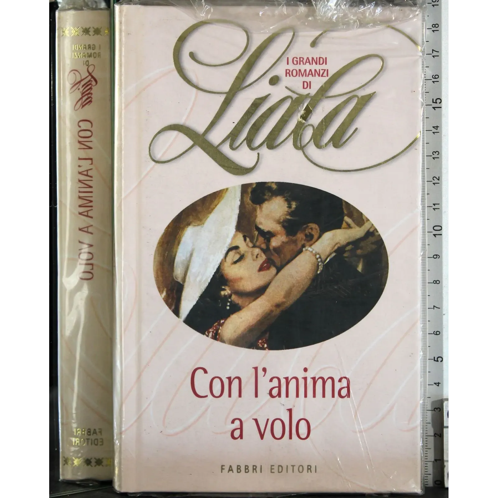Con l'anima al volo