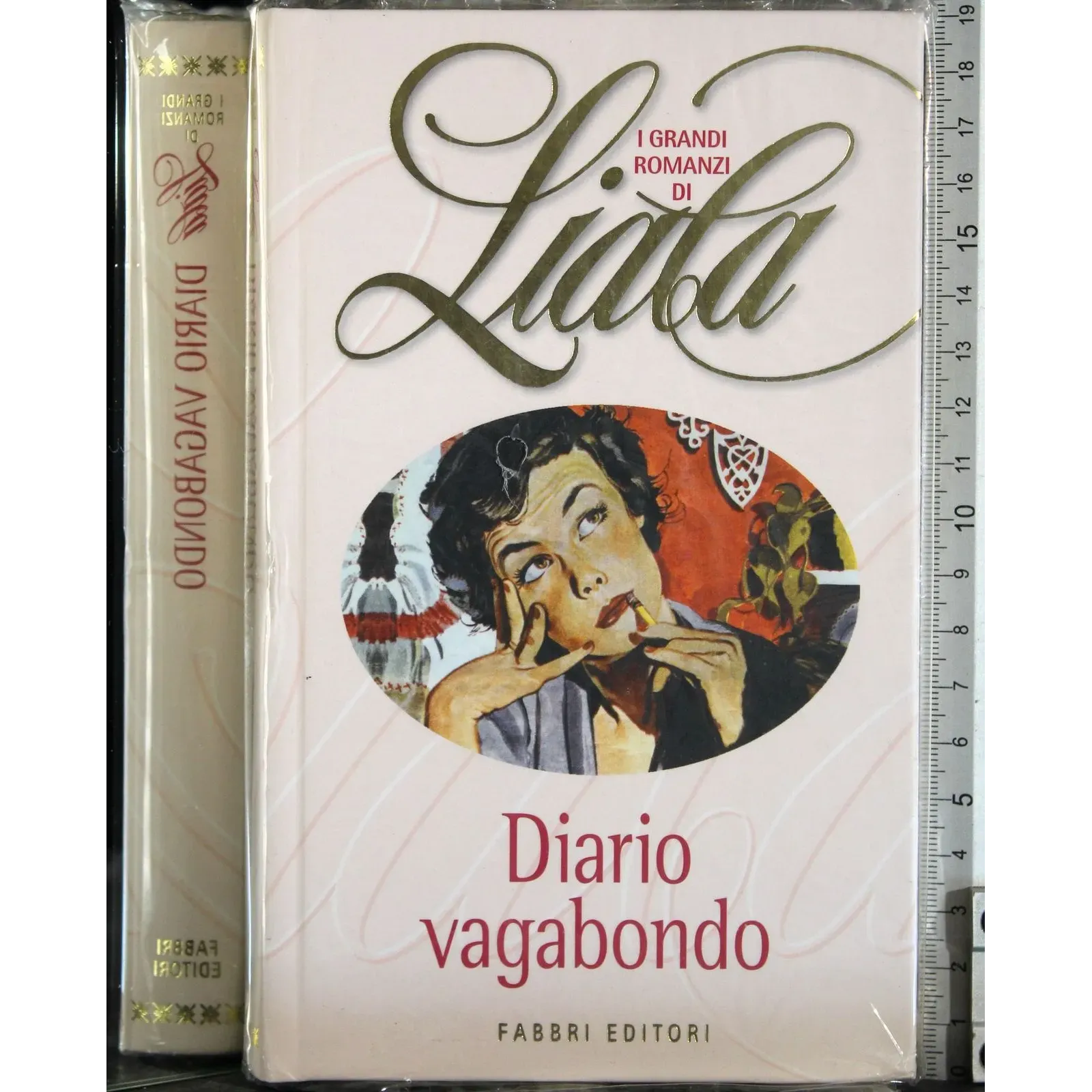 Diario Vagabondo