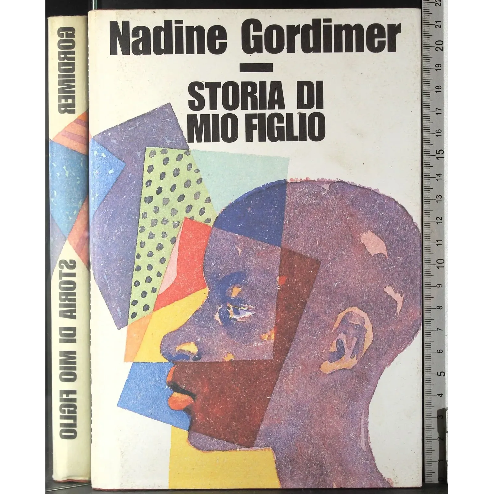 Storia di mio figlio
