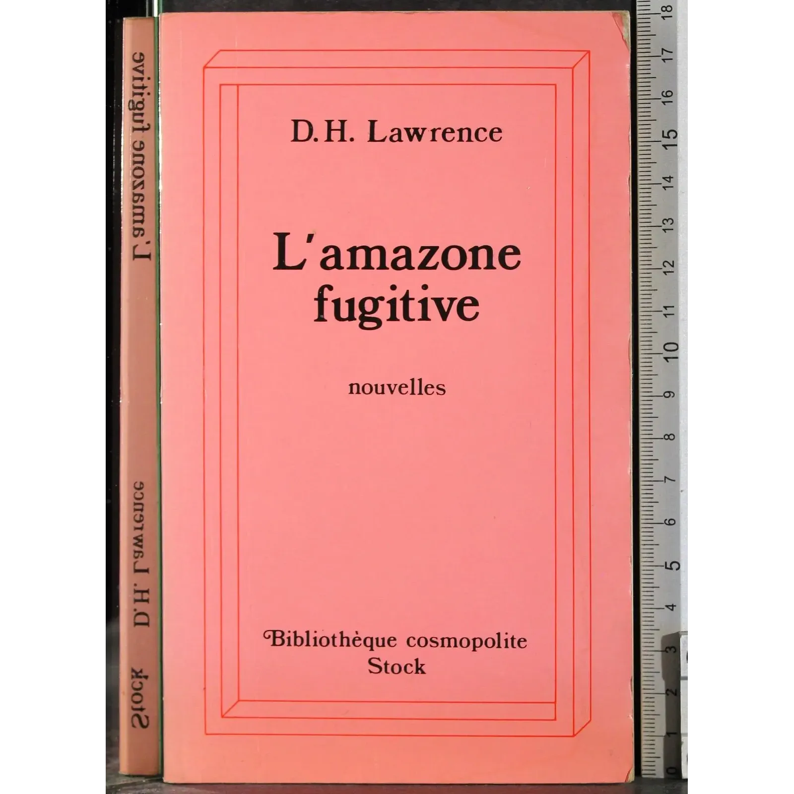 L'amazone fugitive