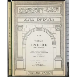 Eneide. Libro Secondo