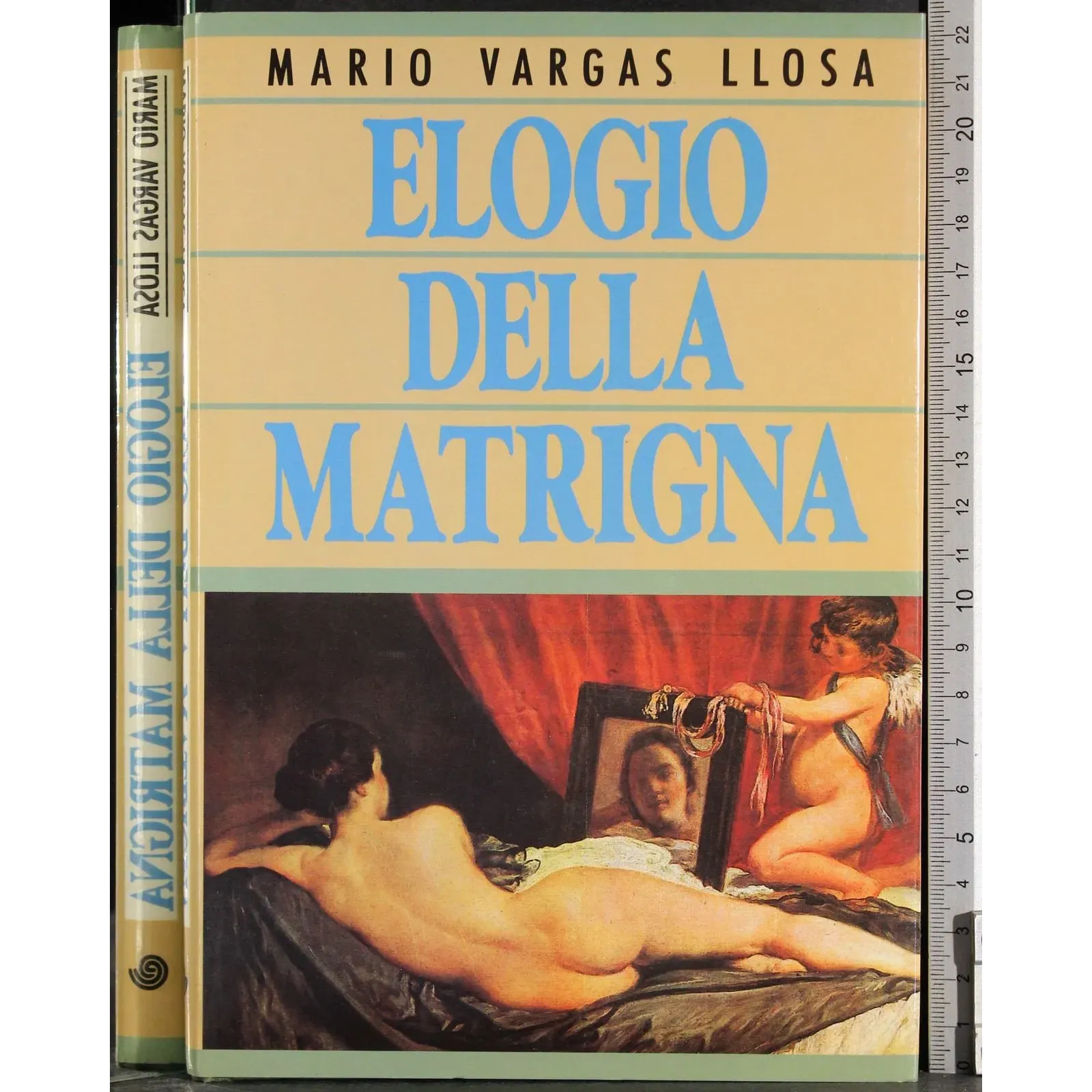 Elogio della matrigna