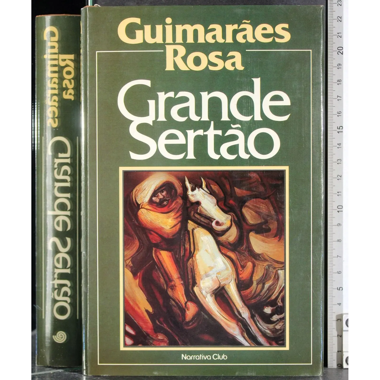 Grande Sertao