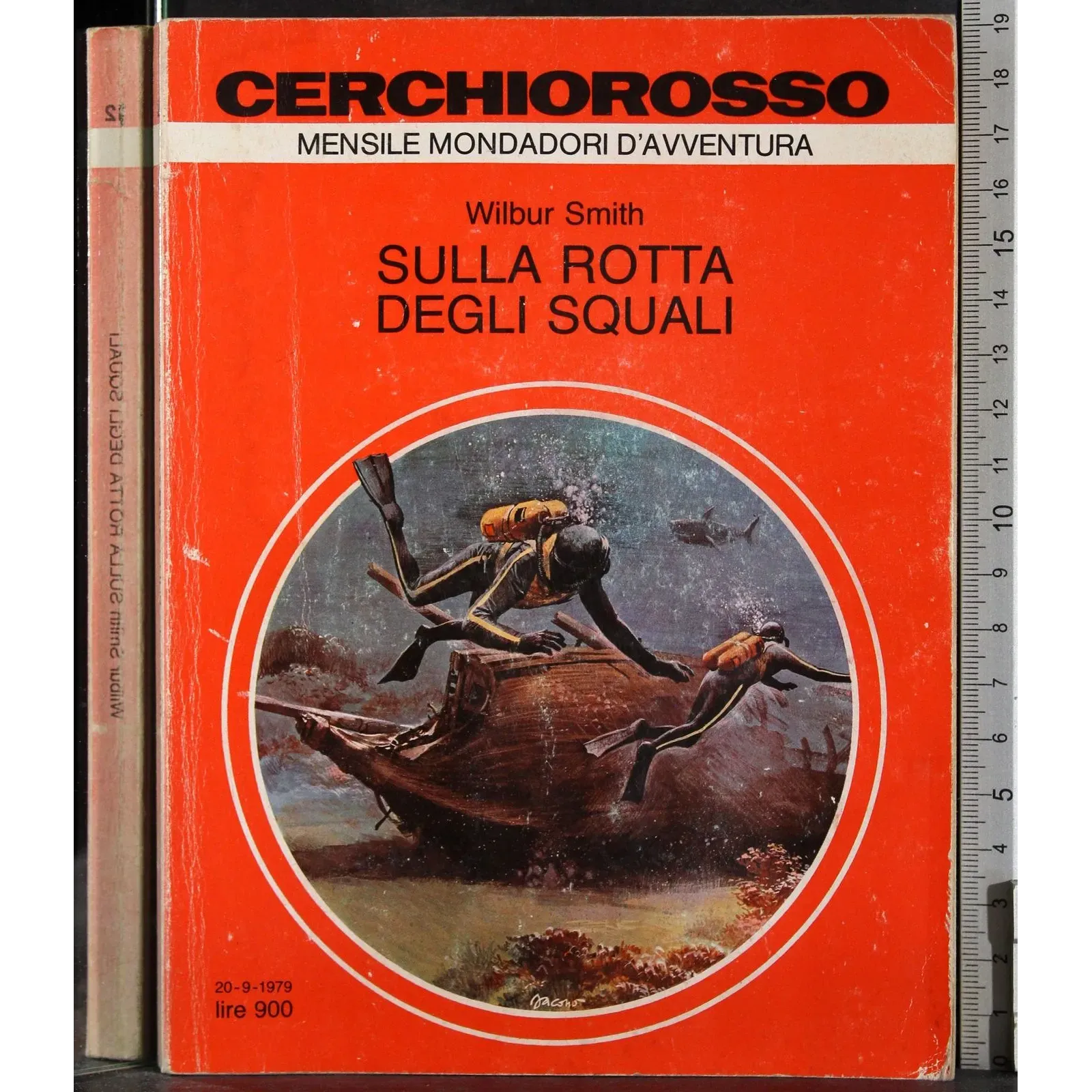 Sulla rotta degli squali