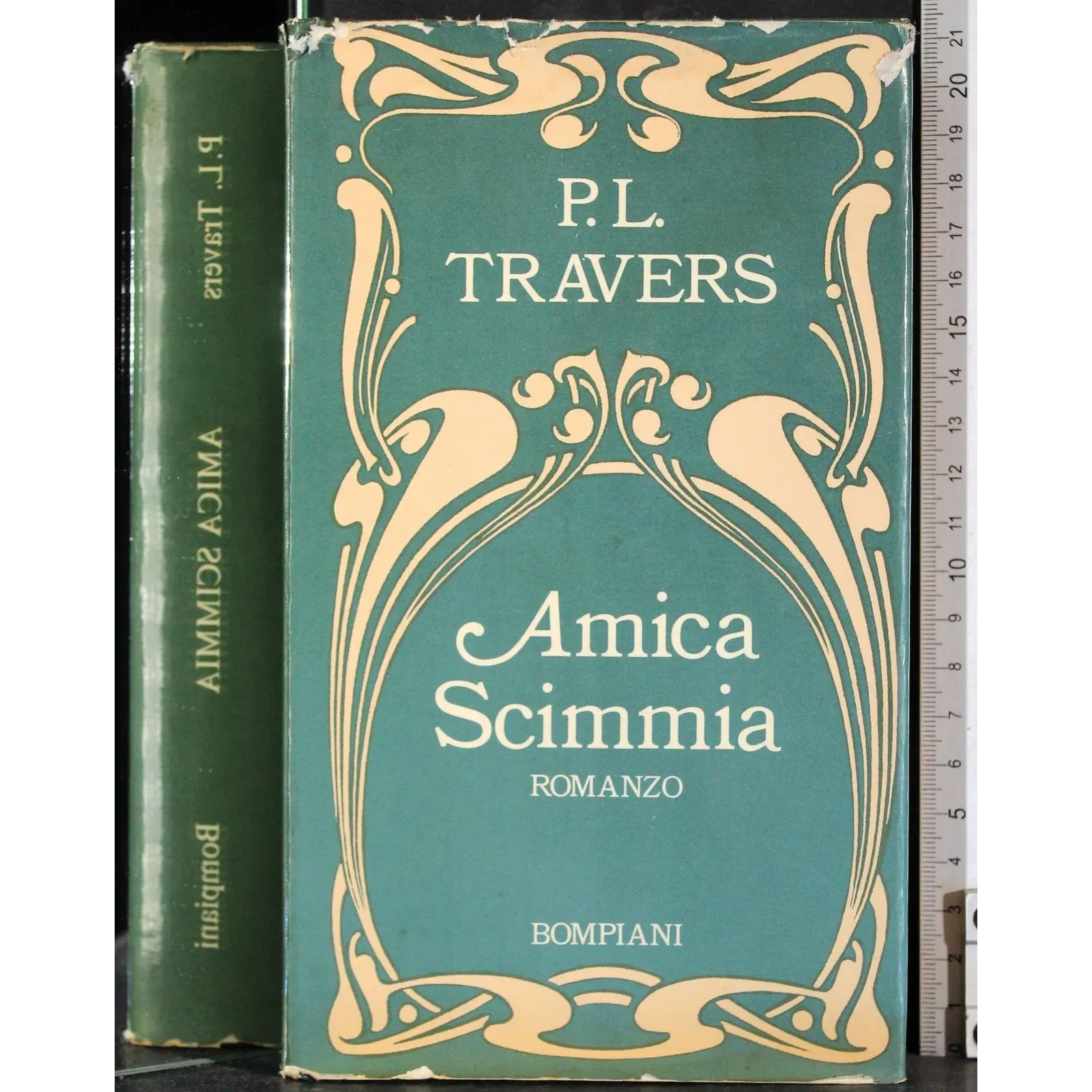 Amica scimmia