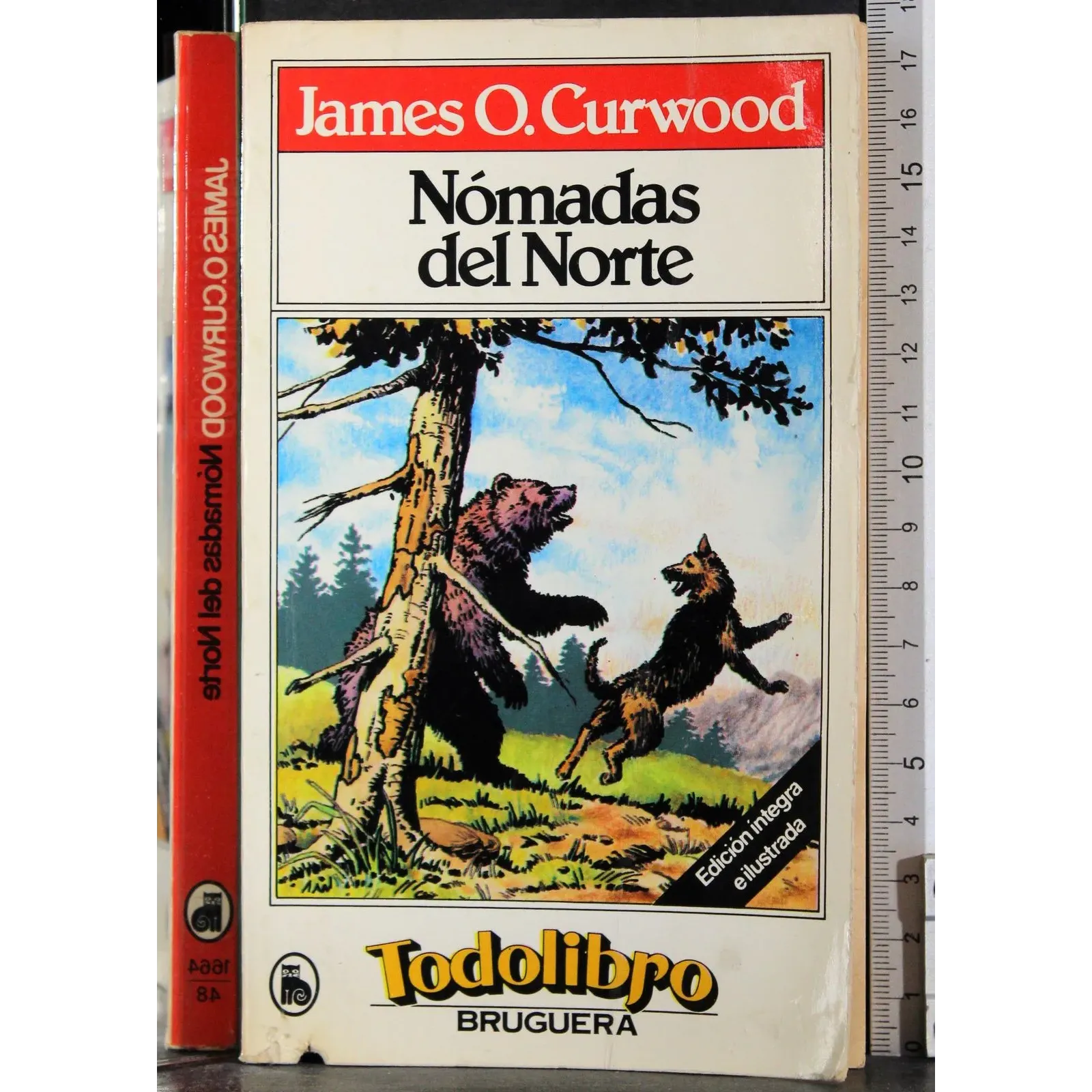 Nomadas del norte