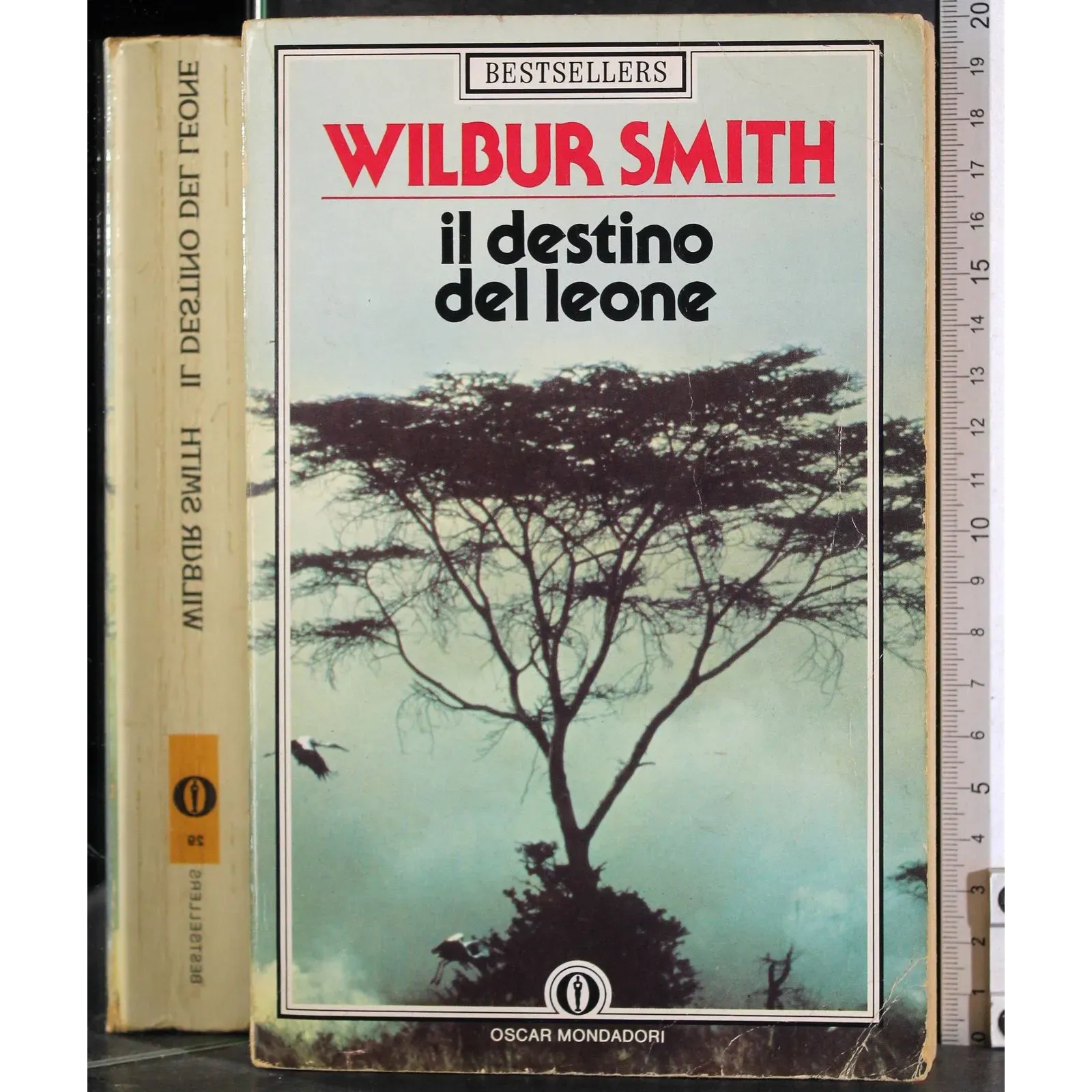 Il destino del leone