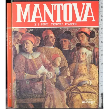 Mantova e i suoi tesori d'arte