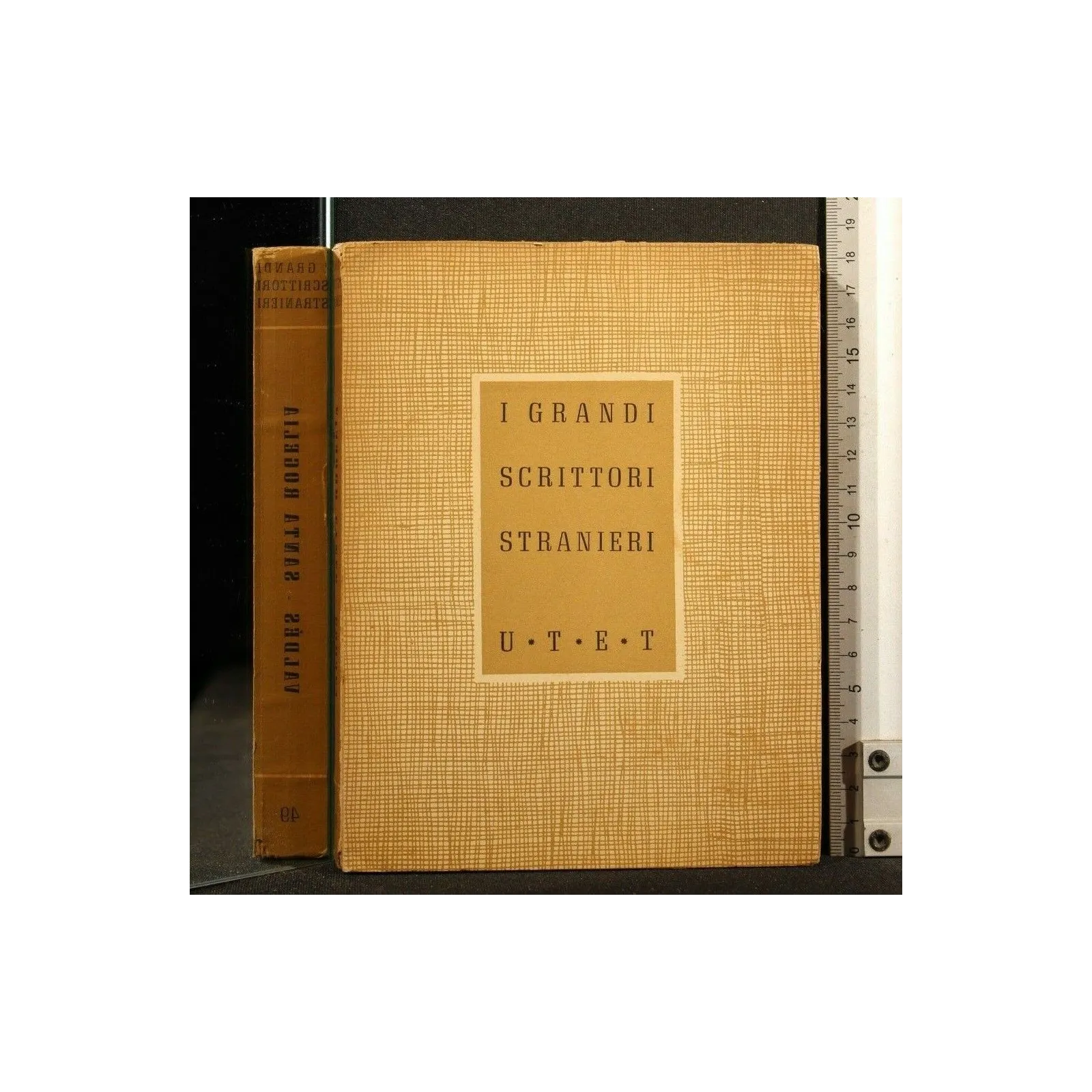 I GRANDI SCRITTORI STRANIERI SANTA ROGELIA