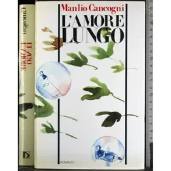 L'amore lungo