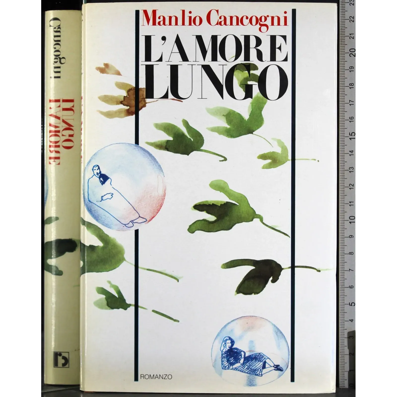 L'amore lungo