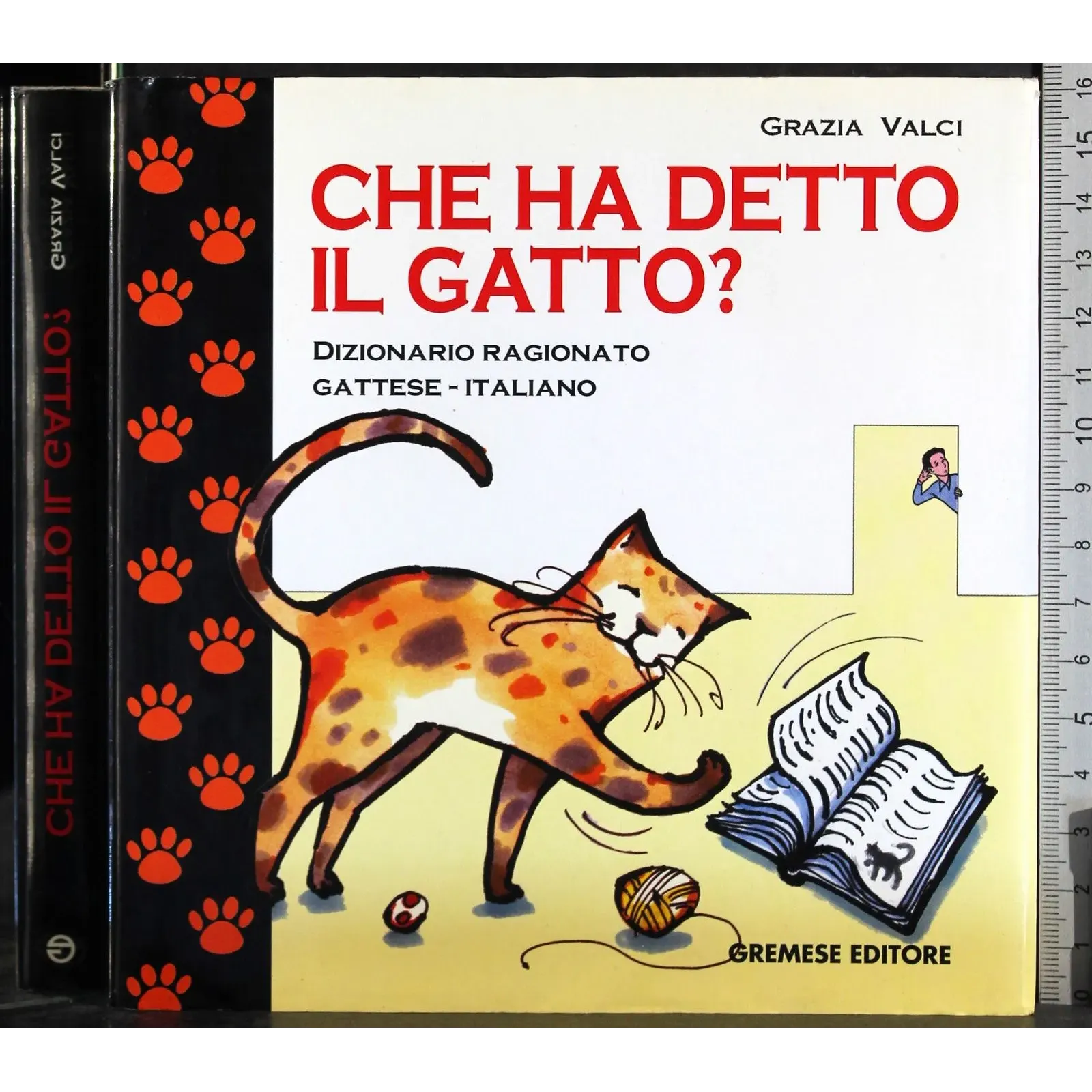 Che ha detto il gatto?