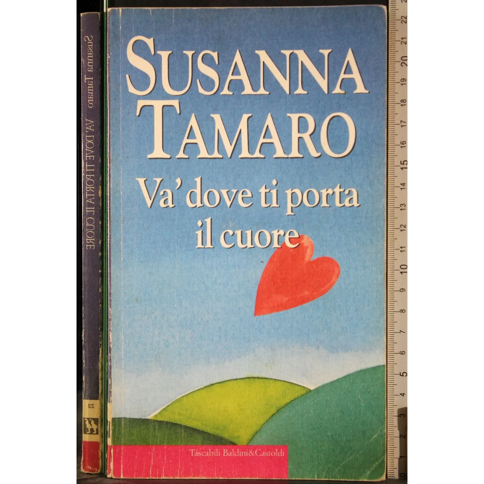 Va dove ti porta il cuore