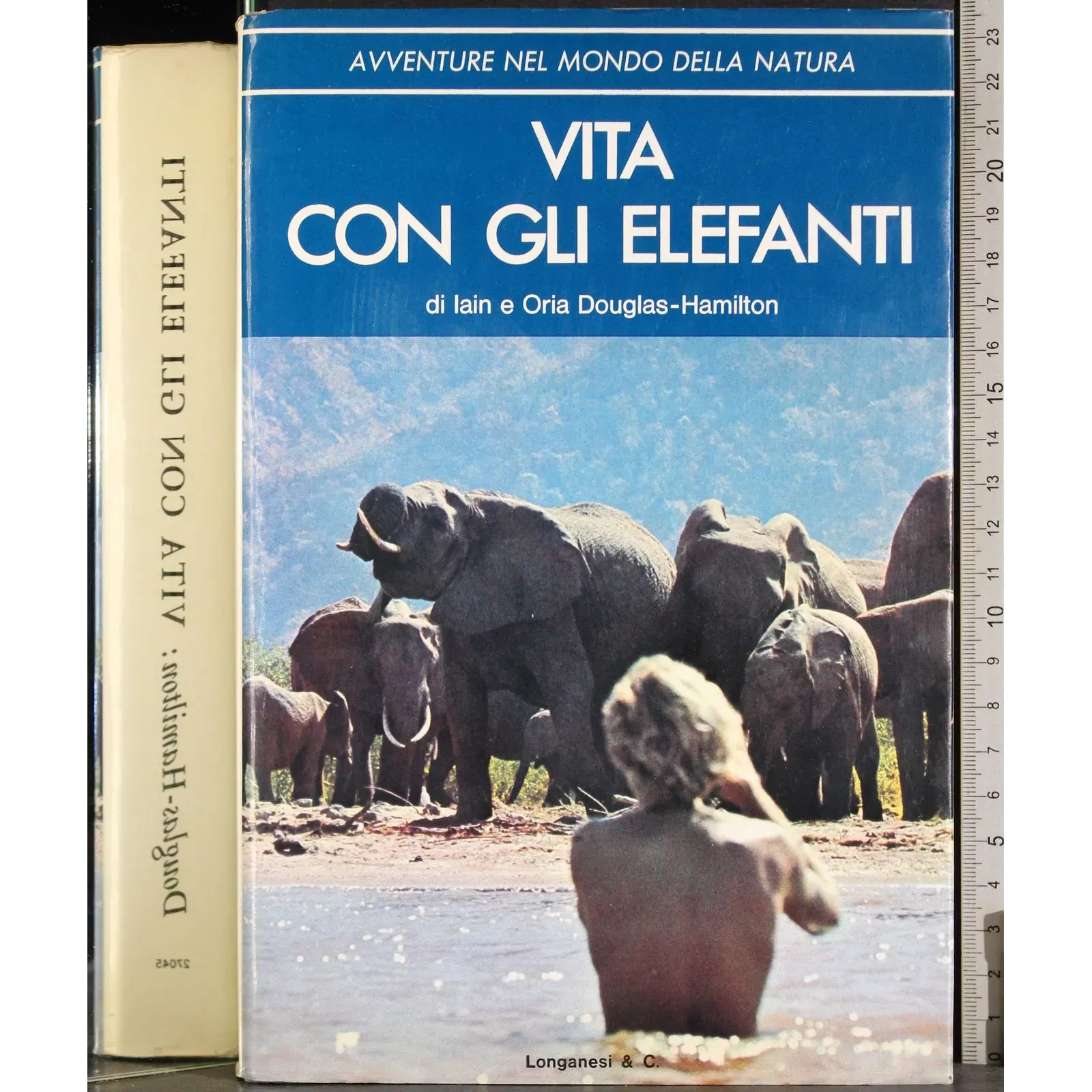 Vita con gli elefanti