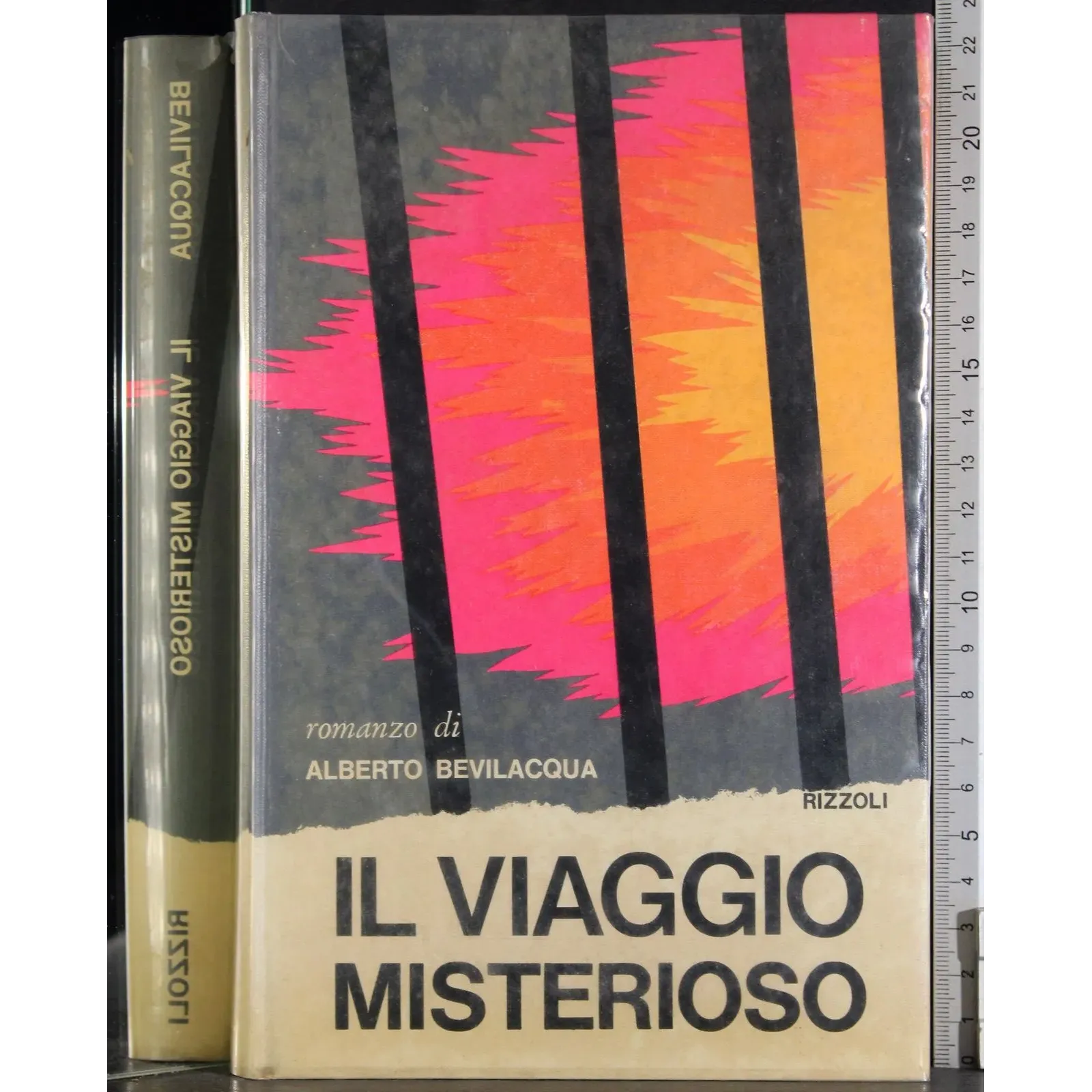 Il viaggio misterioso