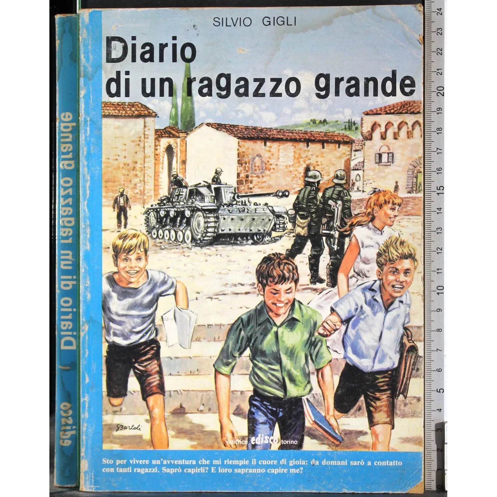 Diario di un ragazzo grande