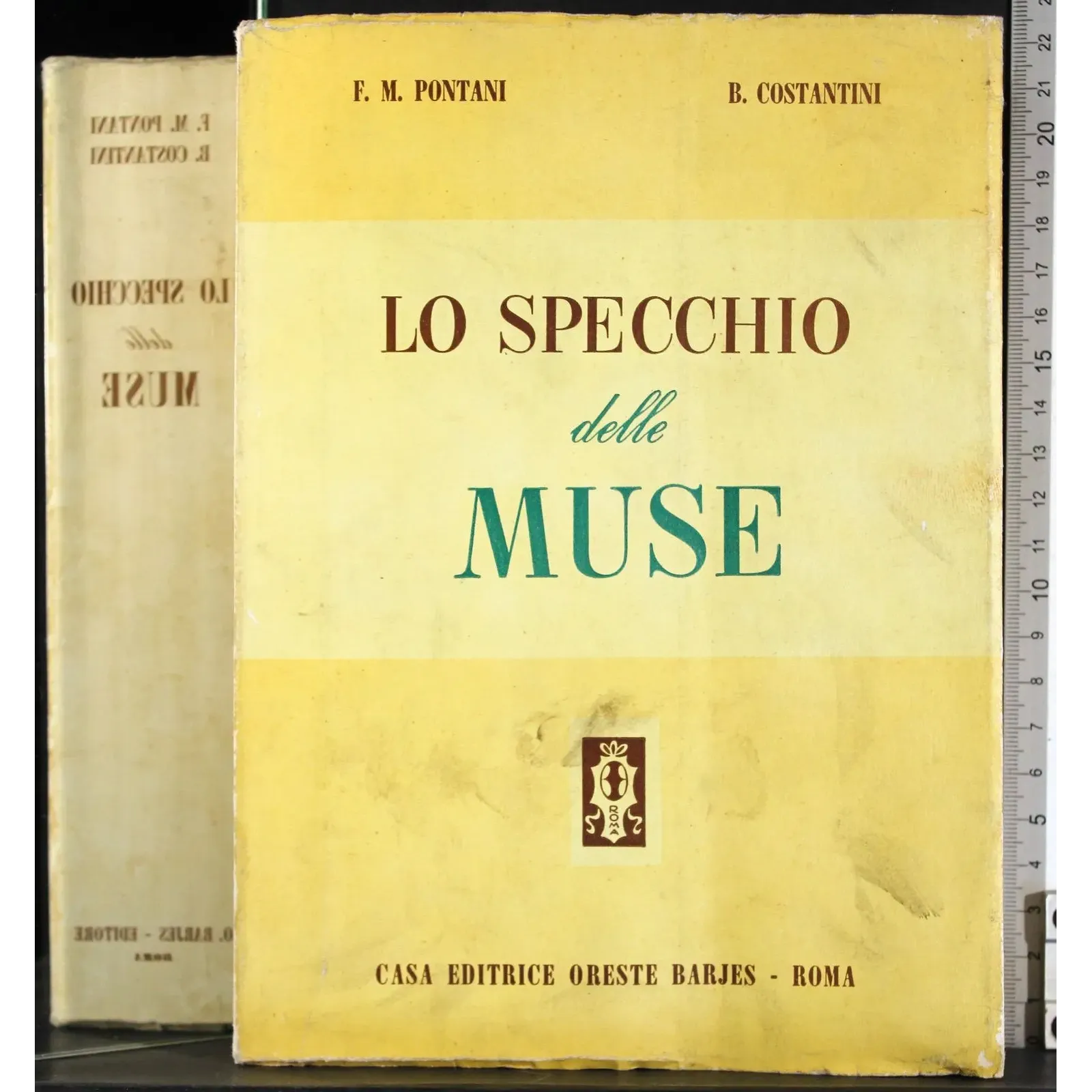 Lo specchio delle muse
