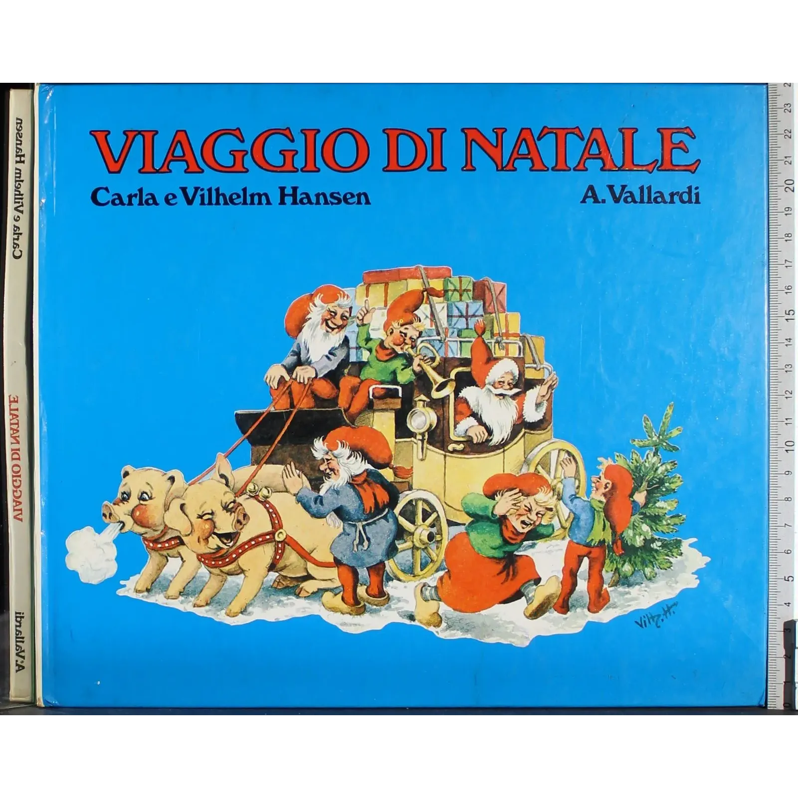 Viaggio di Natale